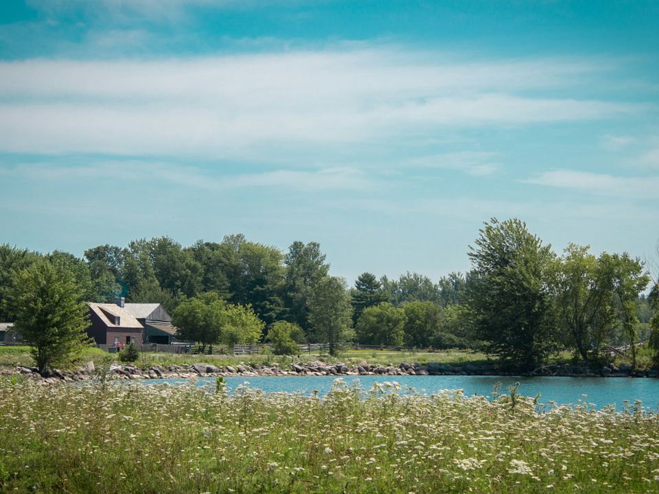 Houses among trees beside a lake at Upper Canada Village, Ontario