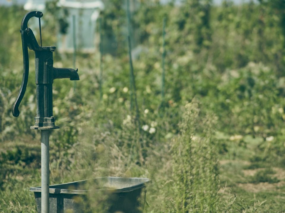 Old hand pump on a well in a green garden