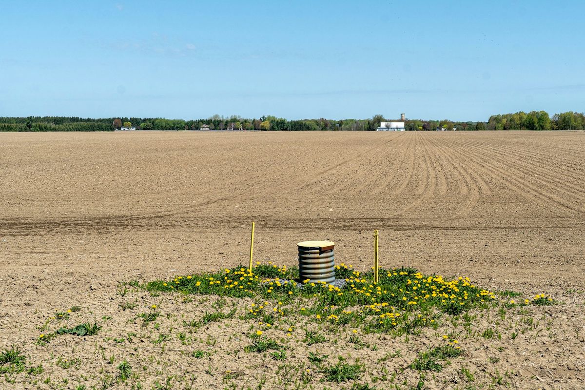 Well casing among dandelions in a plowed field