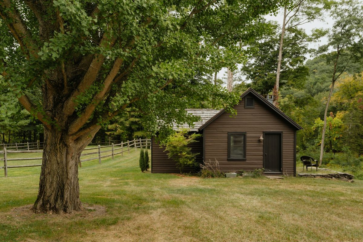 Small wooden house with a grass yard and a large tree in rural New York